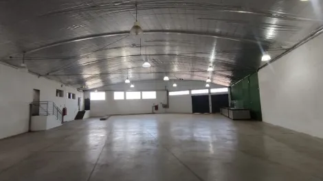 Salão Comercial para Locação, Vila Seixas, Ribeirão Preto